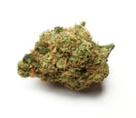 420 Compound 30/1 CA GAP